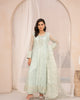 TEA GREEN GRACE – Tea Green Net Straight Maxi — Pakistani Party Wear 3-Piece